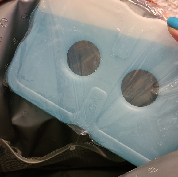 NWOTS Fresh & Fit Insulated Lunch Bag - Picture 4 of 8